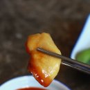 독도참가자미 이미지