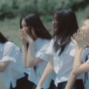 배상곡 네이버블로그