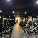 비비휘트니스 이미지