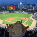 (주)호영 | 광주기아챔피언스필드 EV 521블록 17열 젤 뒷좌석 시야 후기 호영대제전