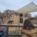 서울어린이대공원동물병원 | &#34;주말 서울 아이랑 가볼만한곳 | 서울 어린이대공원 동물원 관람후기&#34;