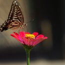 현풍영업소 이미지