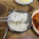 산수정 | [제주/서귀포] 제주도민 로컬 맛집 갈치조림 산수정 식당 후기