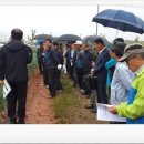 초야농장 이미지