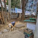 지에스(GS)25 부산만덕점 네이버블로그