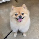 라라샵까치산역점 이미지