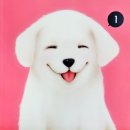 대치탑국어교습소 이미지