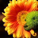 산양초등학교 이미지