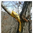 지리산주유소 이미지