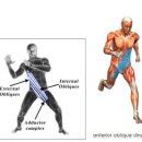 더바른핏 이미지