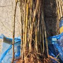 남송농원 이미지