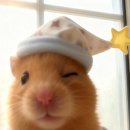 (주)이꼬르 | 분명 봄이긴 한데요 아직 콧물 나는 봄?