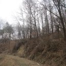 태춘당약국 이미지