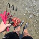 스마일 김밥카페 이미지