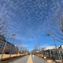 공하나협동조합 | 연세대 굿즈샵 신촌캠퍼스 연세대학교 생활협동조합 방문 구매후기