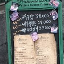 새요새지