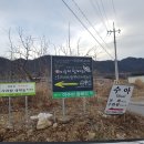 이수미팜베리 이미지