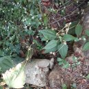 금식농장 이미지