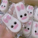 부산유치원 이미지