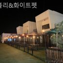 화이트펫# 네이버블로그