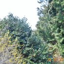 햇살내리는 민박 이미지