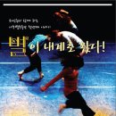 나무별 - 496739 | 나무별