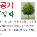 (주)한국엔에스티
