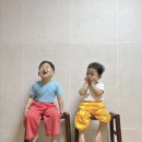 소나모나 이미지