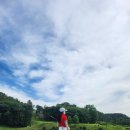 타니스테이 이미지