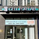 동탄대로시범길 | 동탄 순환 누워서 하는 다이어트 | 셀포랩 라온점 솔직후기