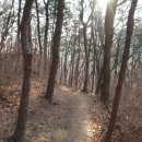 엄광산 나들숲길 이미지