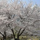 11545-10-28-14 | 여름기저귀 추천, 10년 연속 1위 14개월 아기의 하기스 네이처메이드 썸머 솔직 후기 (5단계)