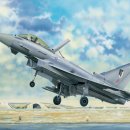 EF-2000 Eurofighter Typhoon [1/32 TRUMPETER MADE IN CHINA] 이미지