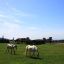 라온목장 이미지