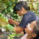 영농조합법인 공룡마을 이미지