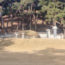 이순신 묘 이미지