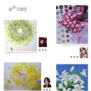 강보아트