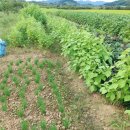 동읍스카이공인중개사사무소 이미지