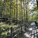 무악정 화장실 이미지