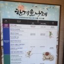 한국전통무용과 춤체조 | 한국민속촌 설연휴 방문후기퍼레이드공연과 놀이공원 까지