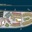 대저캠핑장 이미지