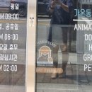 가온동물의료센터 이미지