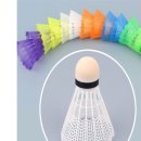 배드민턴 이미지