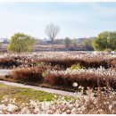 원평나루 이미지