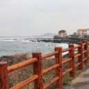 하루팡