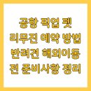 개 친절 펫택시 | 공항 픽업 펫 리무진 예약 방법 반려견 해외이동 전 준비사항 정리