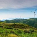 금평목장 이미지