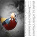 금성농장 이미지