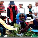 고사리 쉼터 이미지