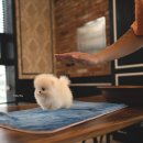 스테이 모량 이미지